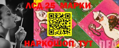 ПСИЛОЦИБИНОВЫЕ ГРИБЫ Камышлов