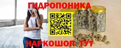ПСИЛОЦИБИНОВЫЕ ГРИБЫ Камышлов