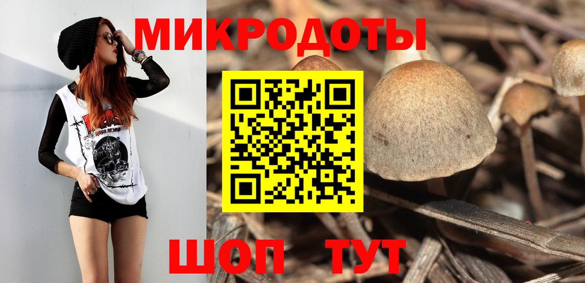 Крымск  Псилоцибиновые грибы Cubensis  Вход с VPN 