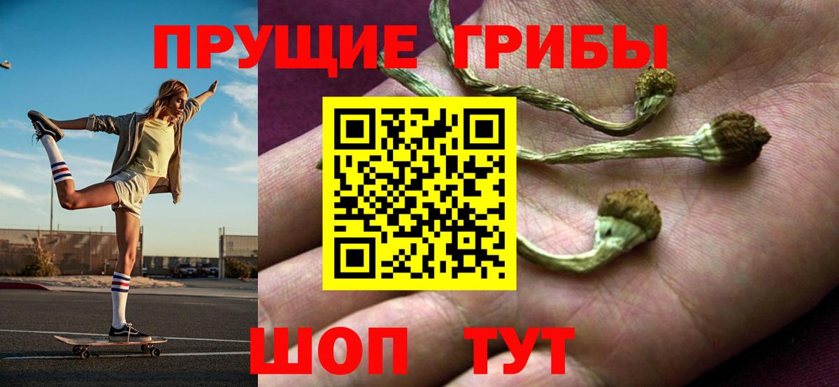 Галлюциногенные грибы прущие грибы Крымск